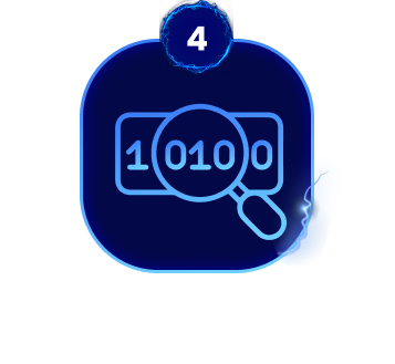 Descubra